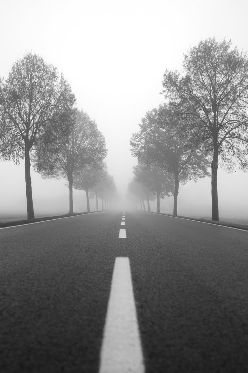 Digital Forensic Investigations