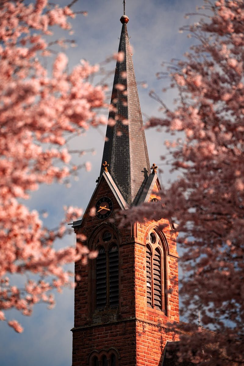 Sports Venues Safety